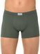 Труси чоловічі "DIWARI" BASIC SHORTS 127 (в коробці), olive green, 2XL, 56, Оливковый
