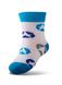 Шкарпетки дитячі "Брестські" BABY 3081, Білий, 11-12, 18, Белый