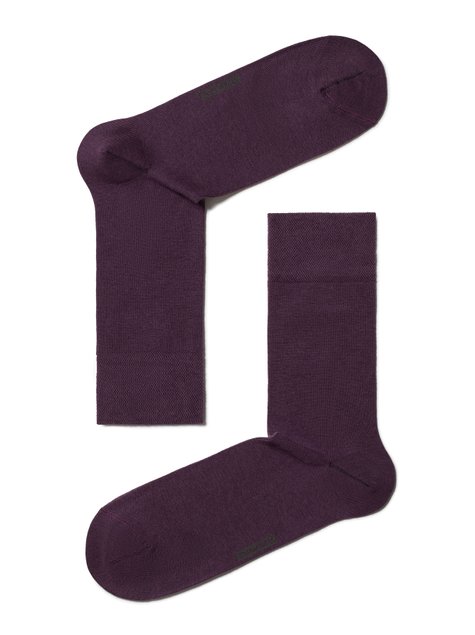 Шкарпетки чоловічі "DIWARI" CLASSIC, баклажан, 40-41, 40, Фиолетовый