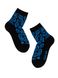 Шкарпетки дитячі Conte Kids TIP-TOP (бавовняні, з малюнками), Черный-Синий, 16, 24, Комбинированный