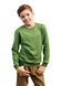 Джемпер для мальчиков с длинными втачными рукавами ESLI, Зелёный, 128-134, 128см, Зеленый