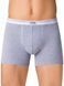Труси чоловічі DIWARI SHORTS MSH 015 (в коробці), grey melange, S, 40, Сірий