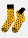 Бавовняні чоловічі шкарпетки з малюнками DiWaRi HAPPY (3 пари, коробочка) 20С-37СП, ассорти, 40-41, 40, Комбинированный